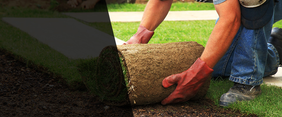 Ridgeland Landscapers